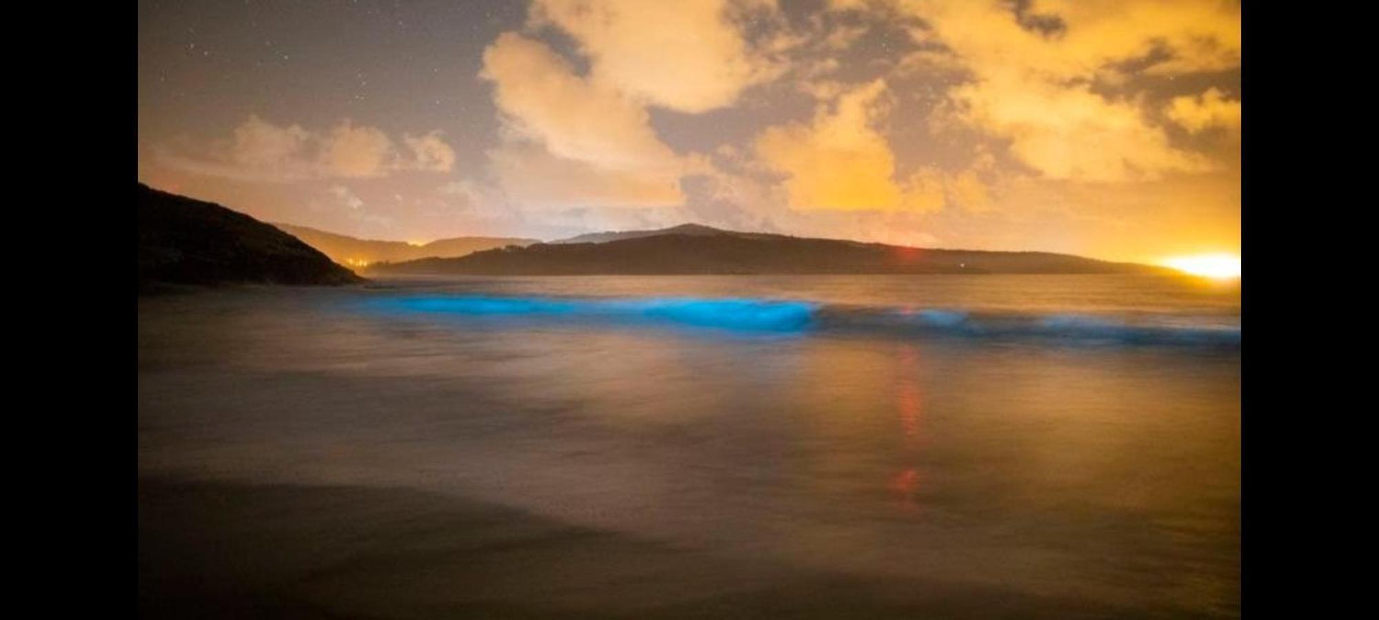 Murmullos Do Mar